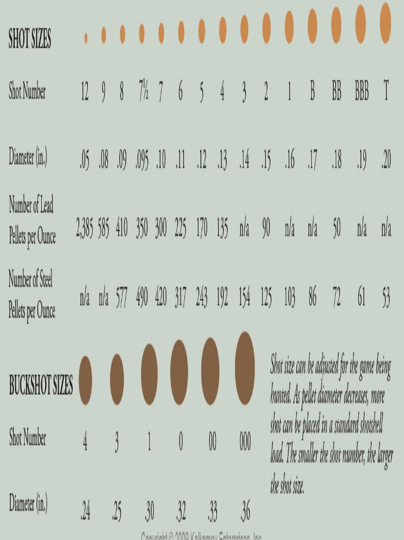 Buckshot Diameter Chart
